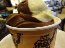 世界アイスクリーム紀行〜ドバイ・ラクダミルクのソフトクリーム